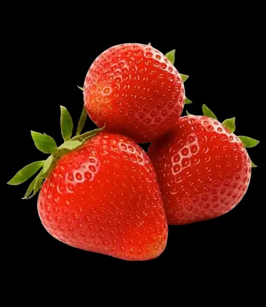 Fraises Charlotte fraîches cultivées en Dordogne