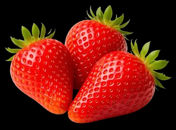 Fraise Dream gros calibre – texture croquante et goût équilibré