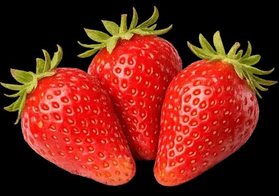 Fraise Gariguette – variété précoce fraîche et légèrement acidulée cultivée en Dordogne